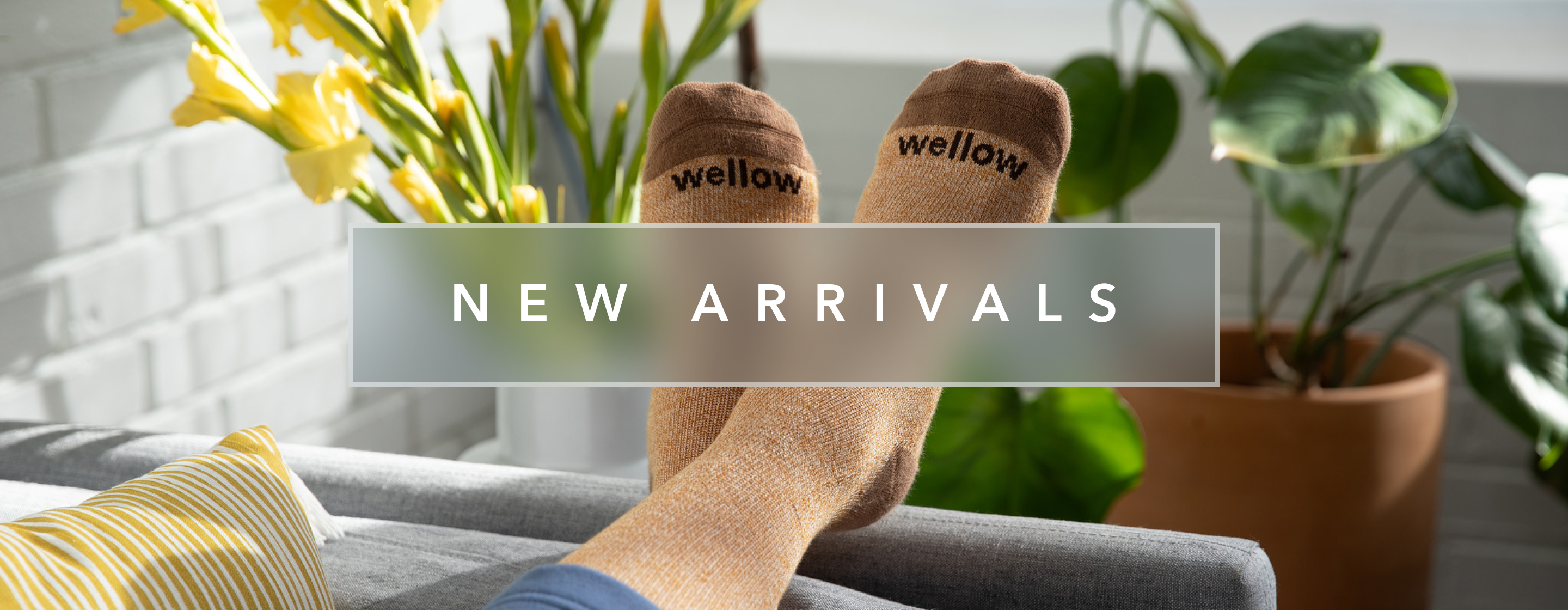 Wellow Collection