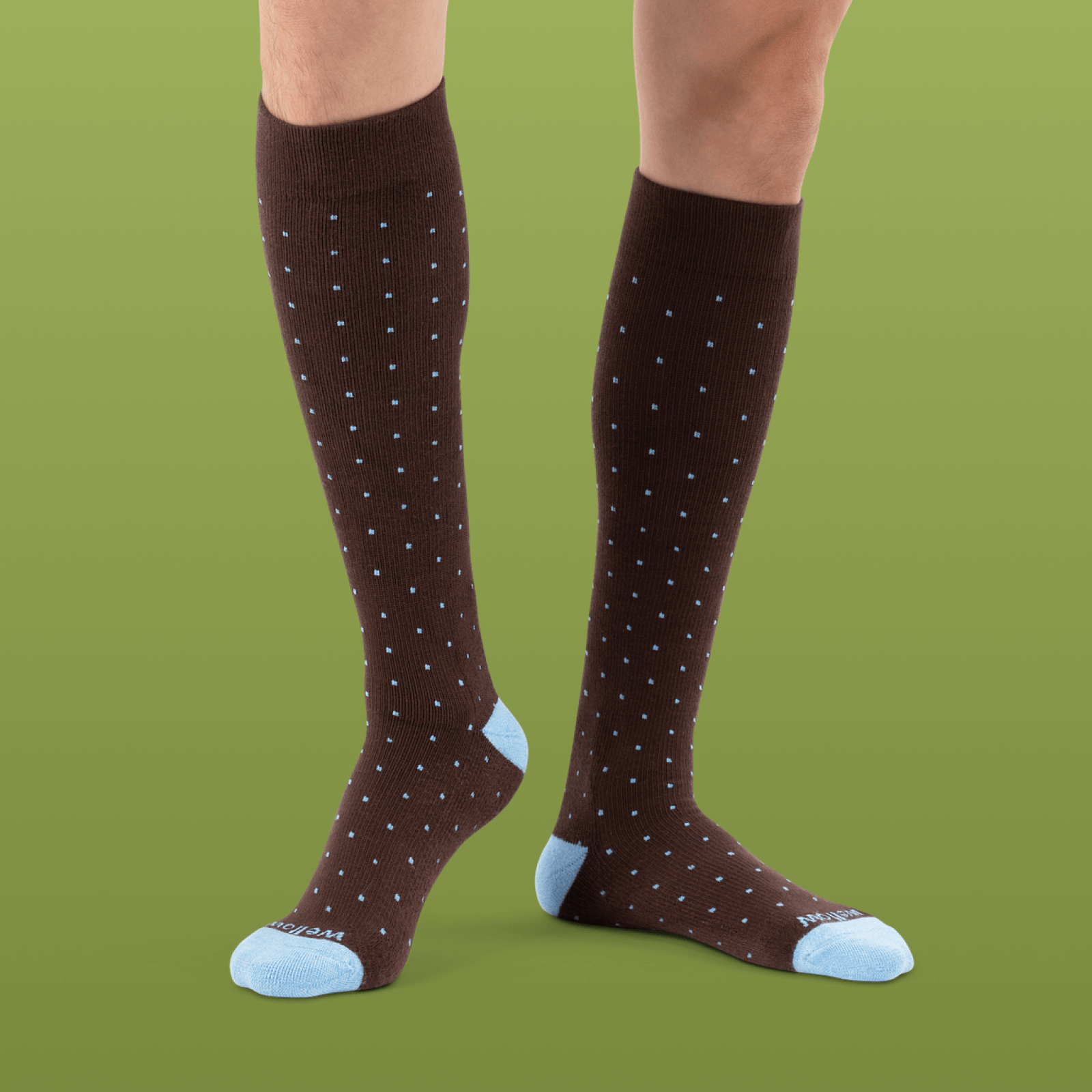 Chocolate Azure Blue