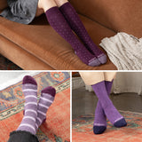 Mulberry Magic - 3 Pack