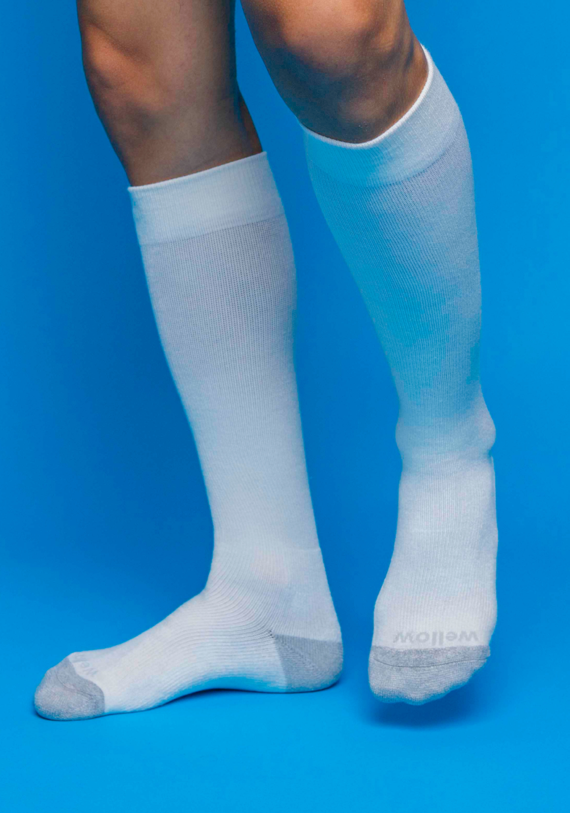 Wellow Collection Image