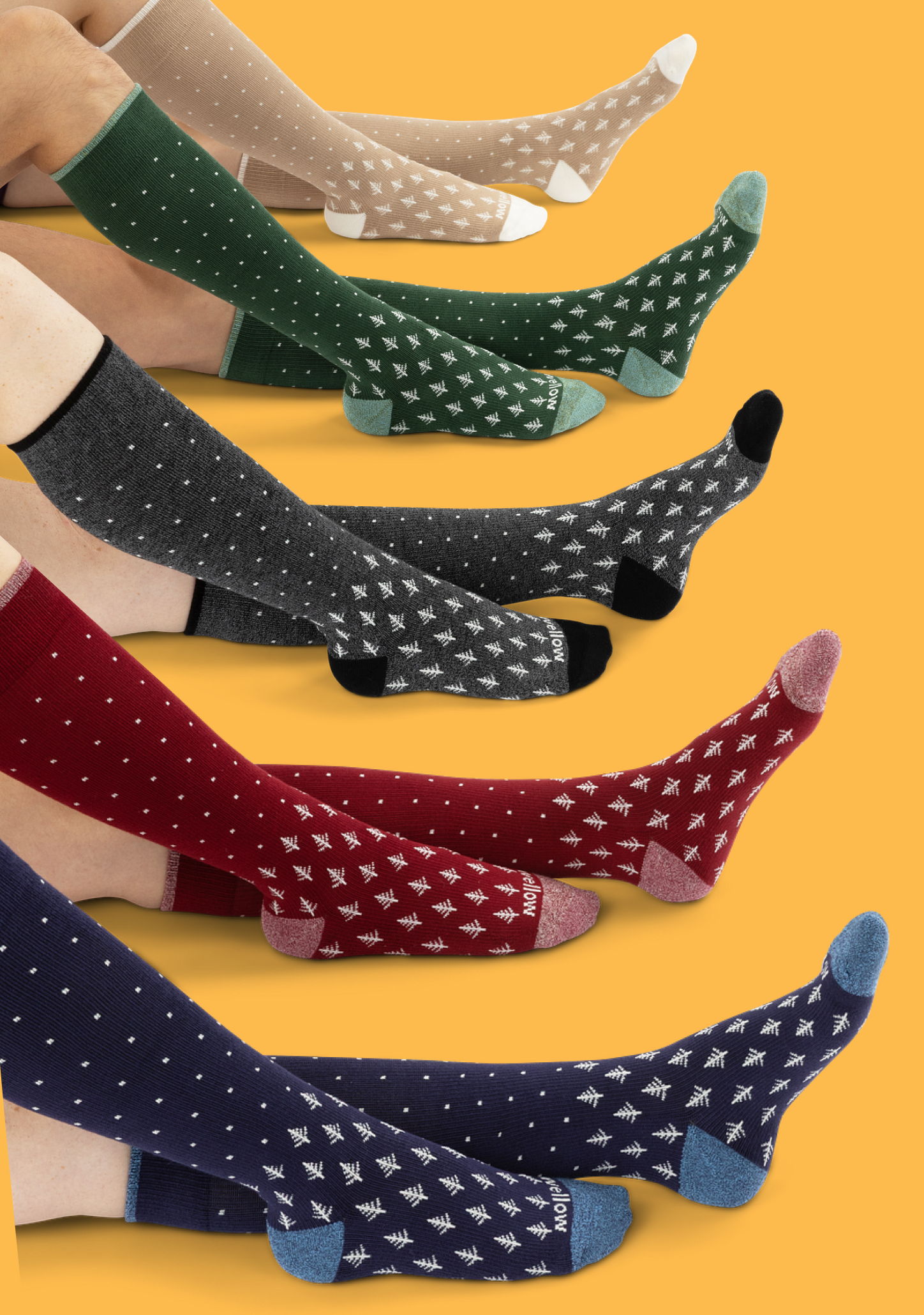 Wellow Collection Image