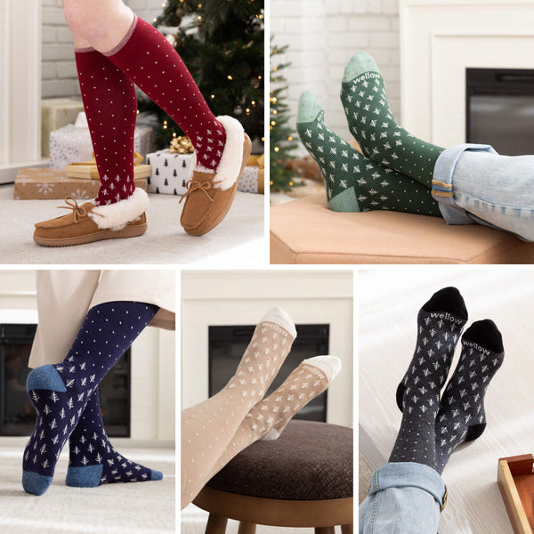 Winter Wonders Five - 5 Pack