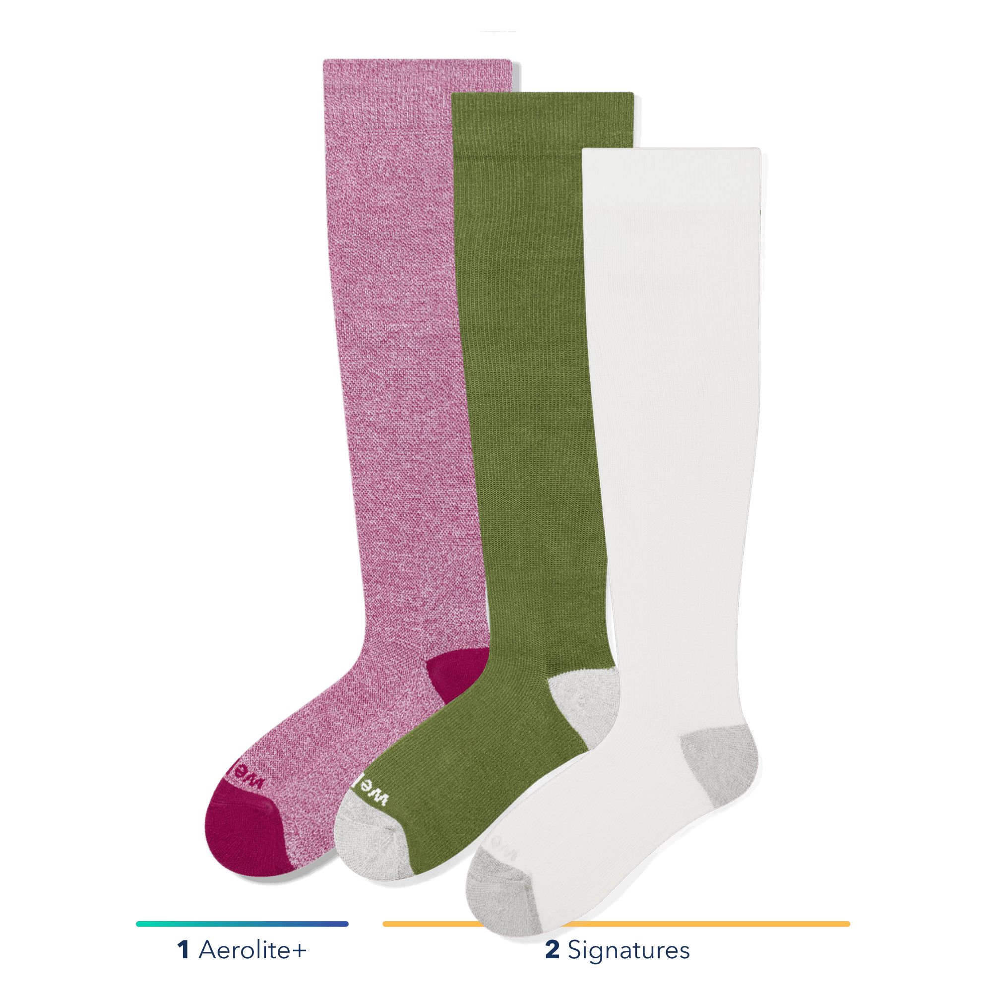 Bloom & Moss - 3 Pack