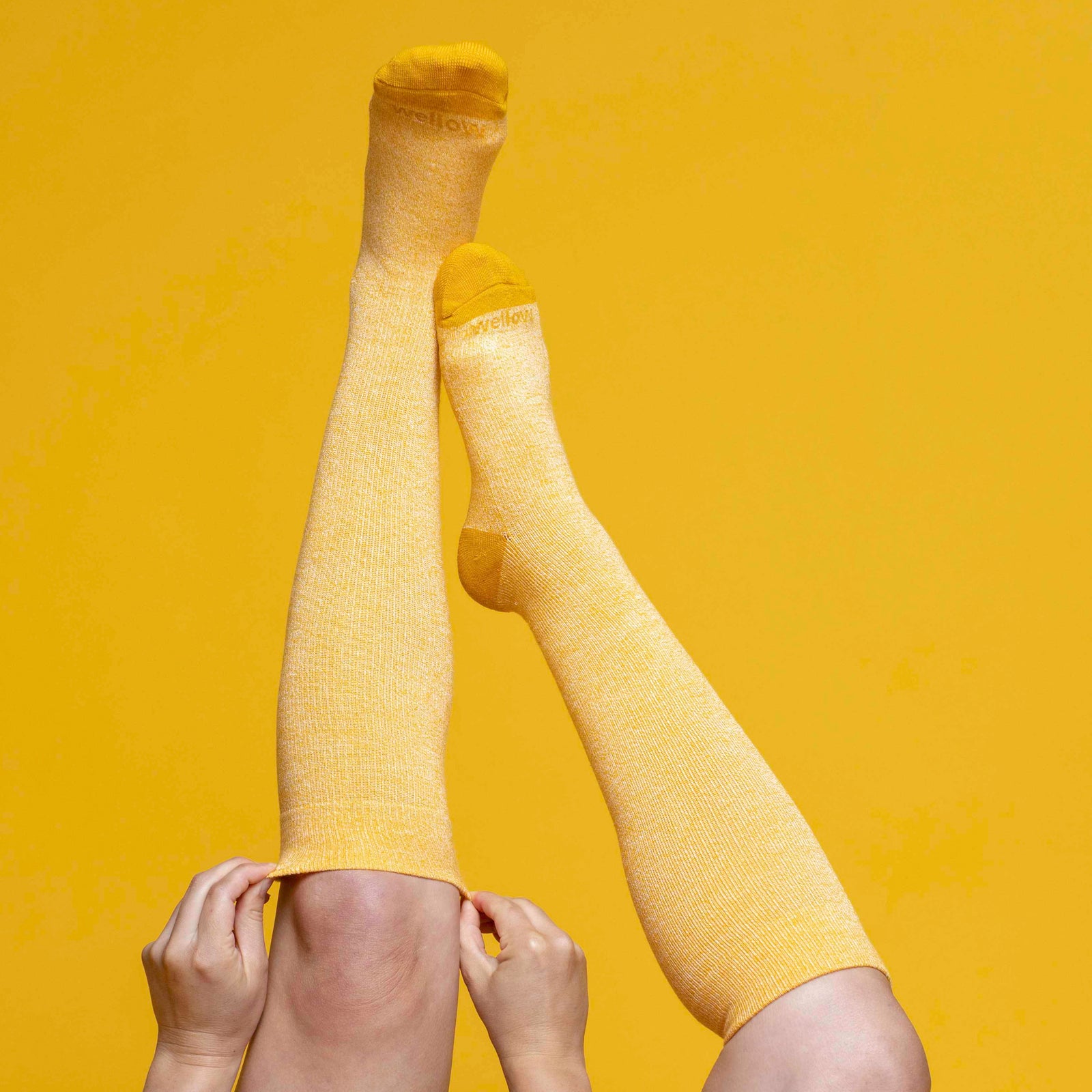 THE ROW ザロウ sock サイズ36 PALE YELLOW Golden Toe – Wellow