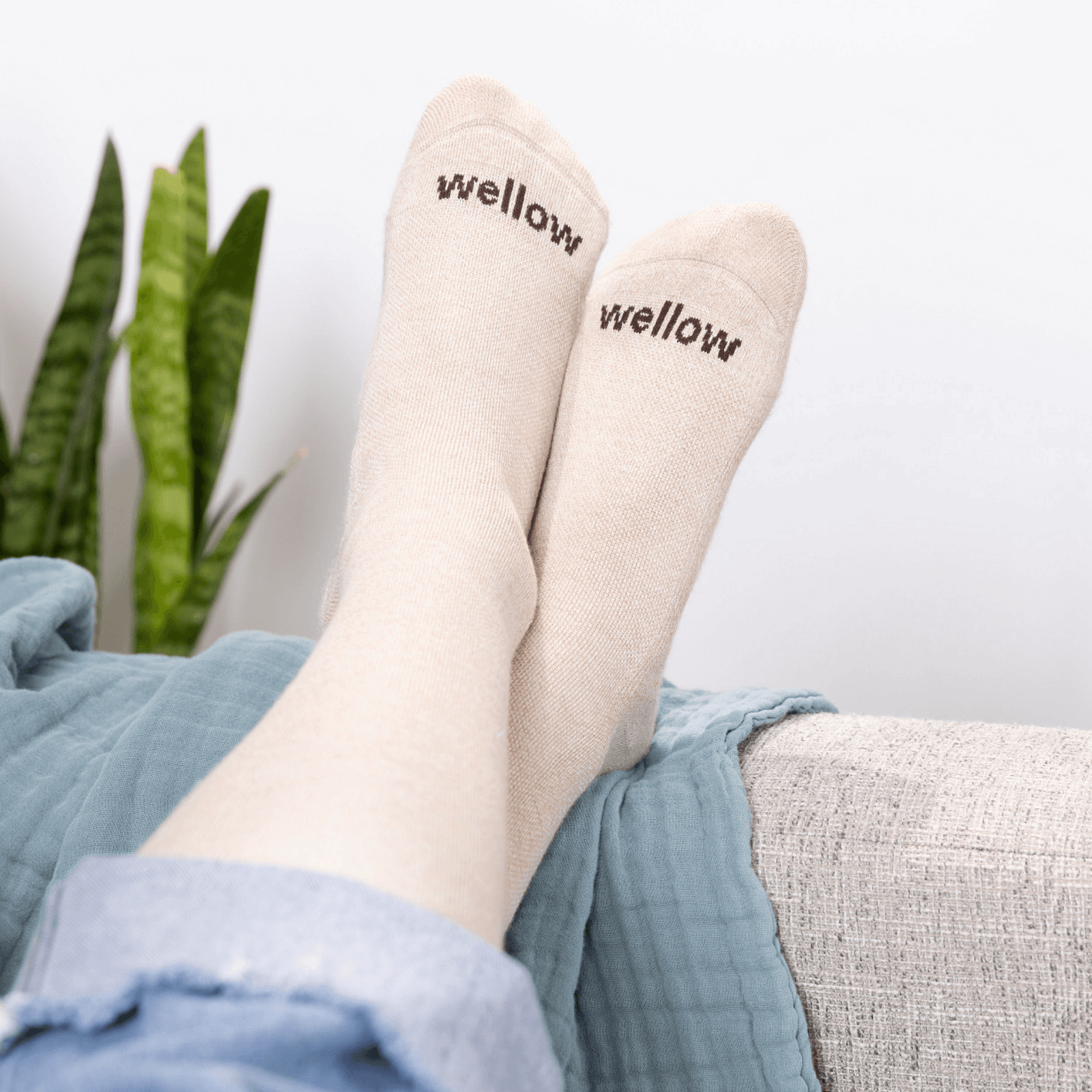 Sesame Twist - Aerolite+ – Wellow