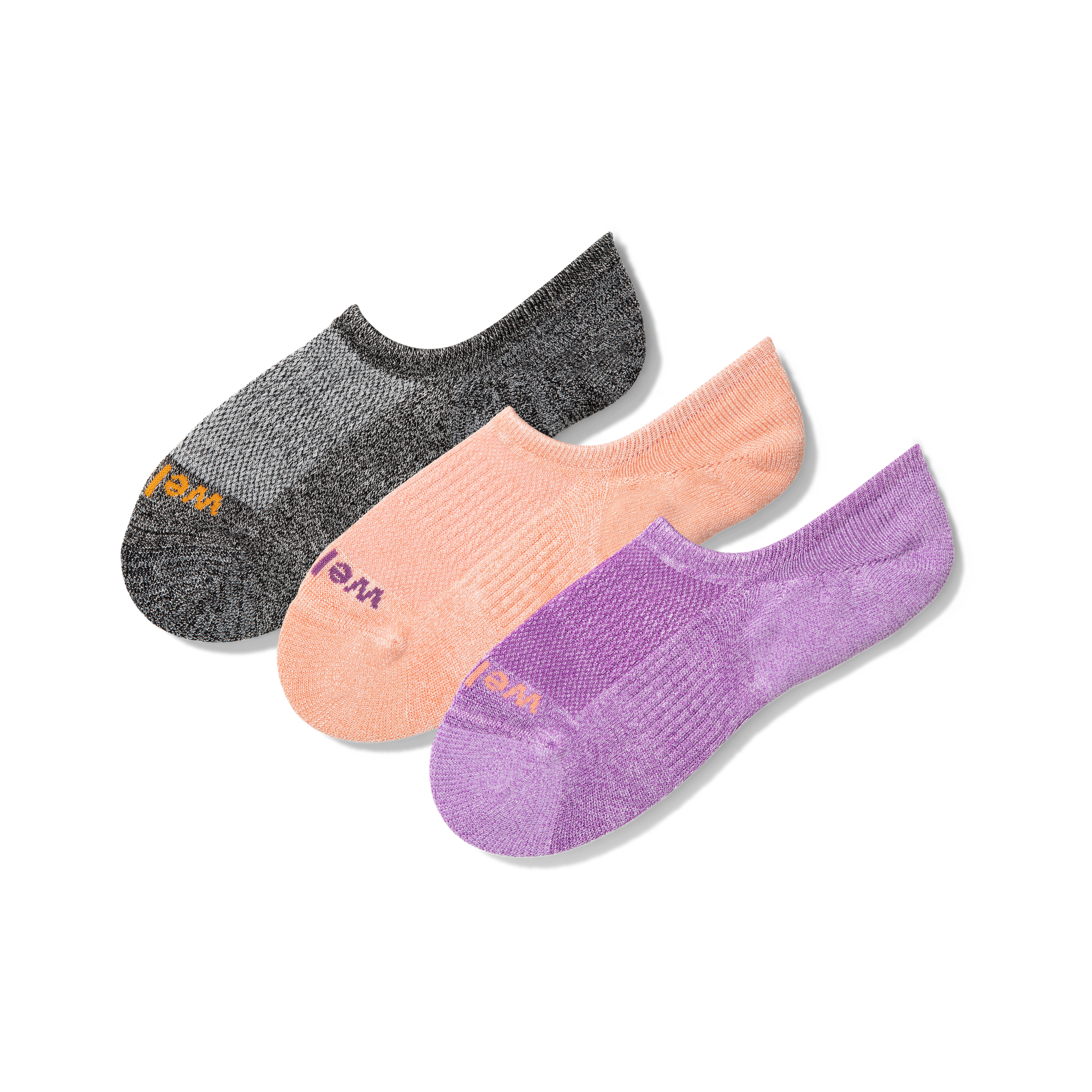 Bird of Paradise  - 3 Pack