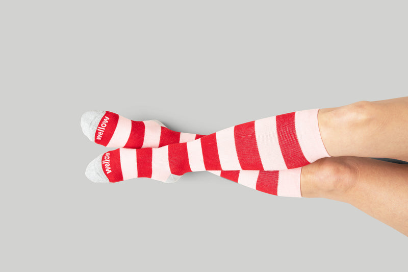 Paradise Trio - 3 Pack